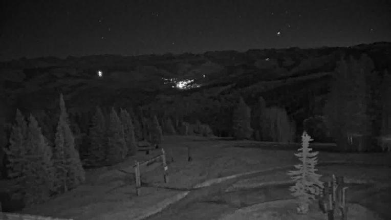 Webcam Beaver Creek: Spruce