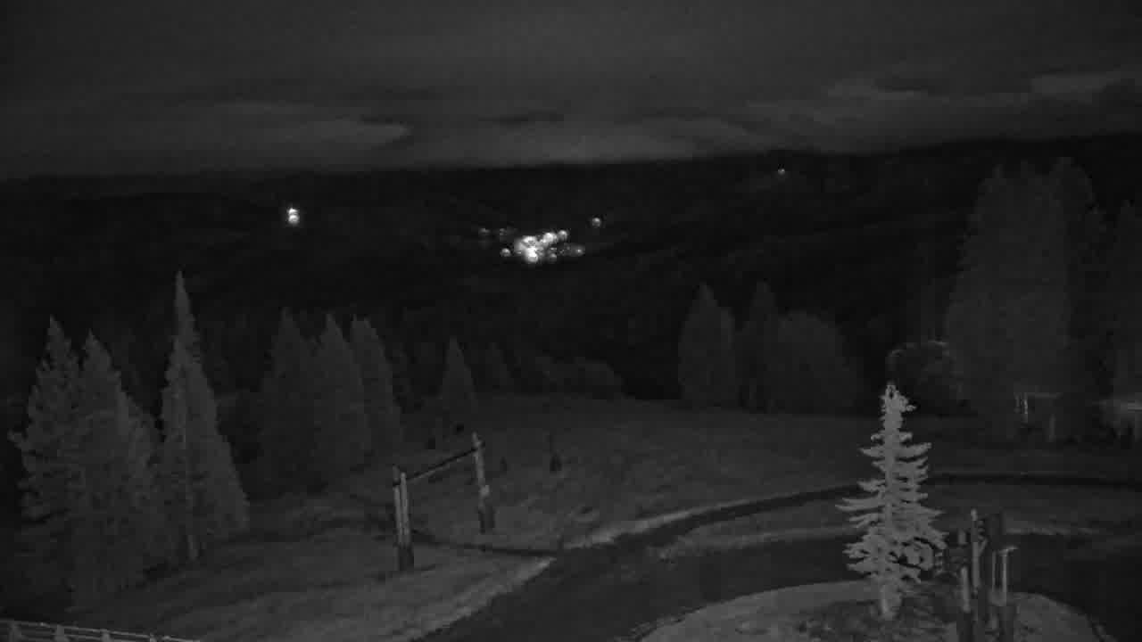 Webcam Beaver Creek: Spruce