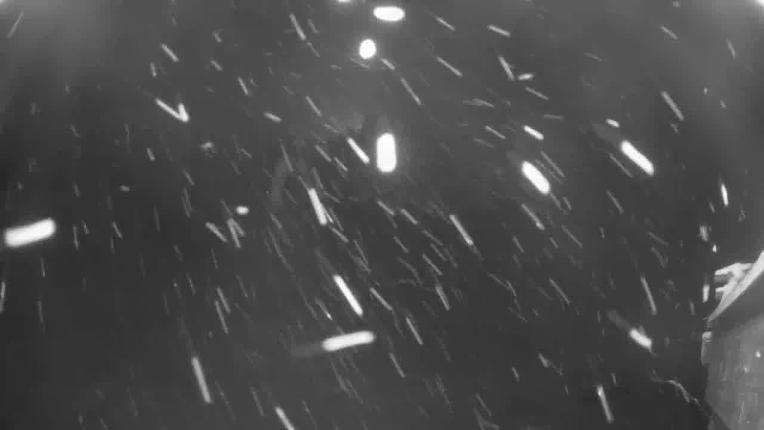 Webcam Beaver Creek: Talons restaurant