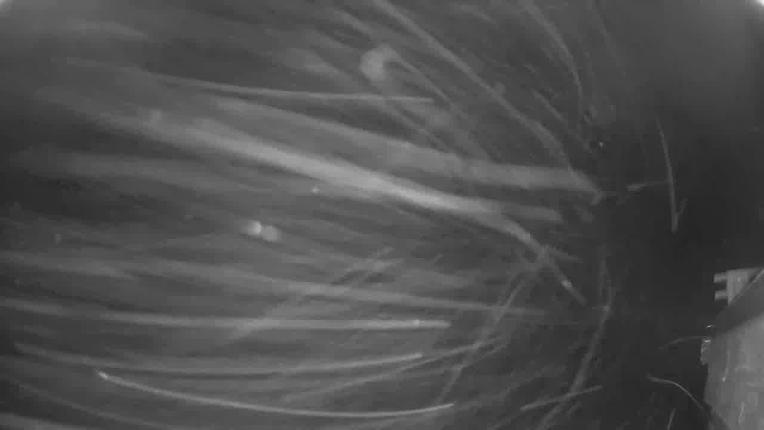 Webcam Beaver Creek: Talons restaurant