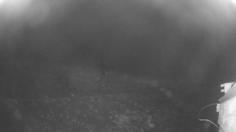 Webcam Beaver Creek: Talons restaurant