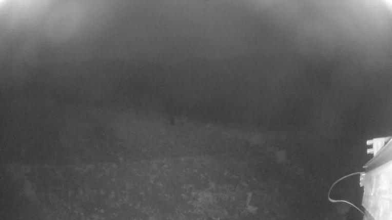 Webcam Beaver Creek: Talons restaurant