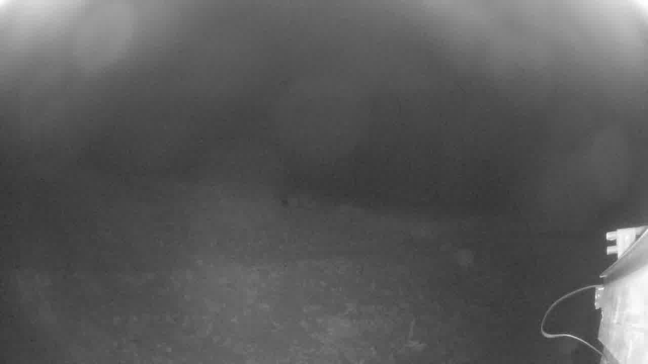 Webcam Beaver Creek: Talons restaurant