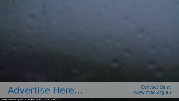 Webcam Ben Lomond: Front Slopes