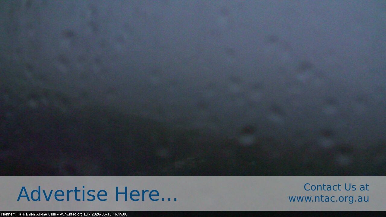 Webcam Ben Lomond: Front Slopes