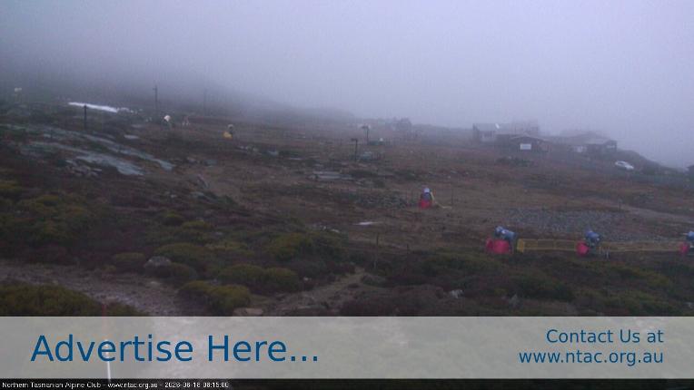 Webcam Ben Lomond: Front Slopes
