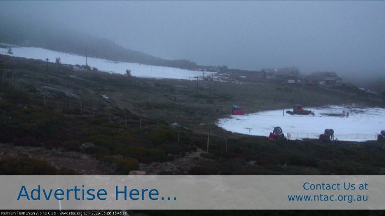 Webcam Ben Lomond: Front Slopes