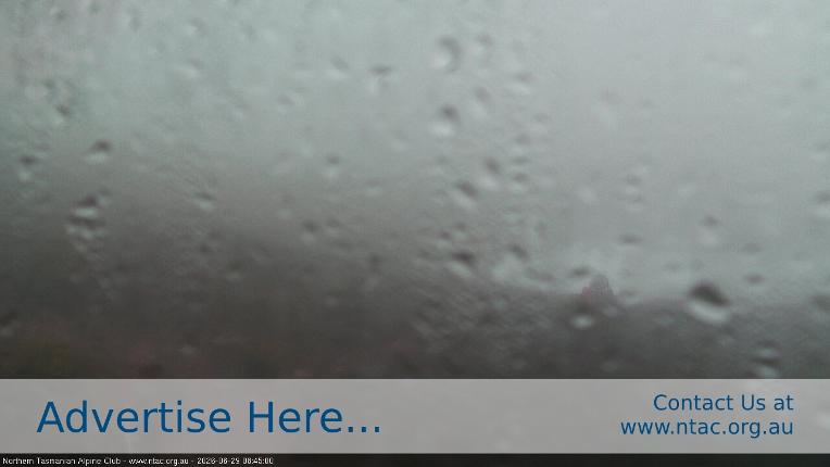 Webcam Ben Lomond: Front Slopes