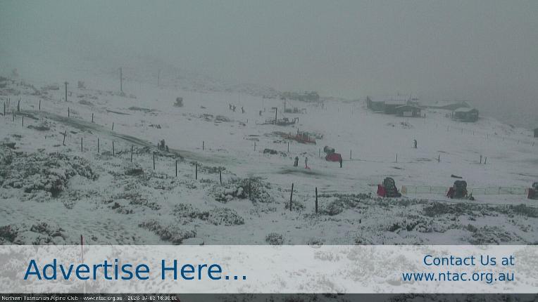 Webcam Ben Lomond: Front Slopes