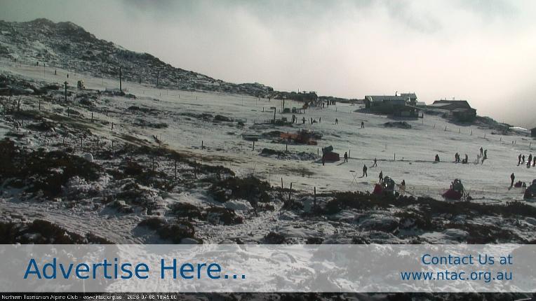 Webcam Ben Lomond: Front Slopes