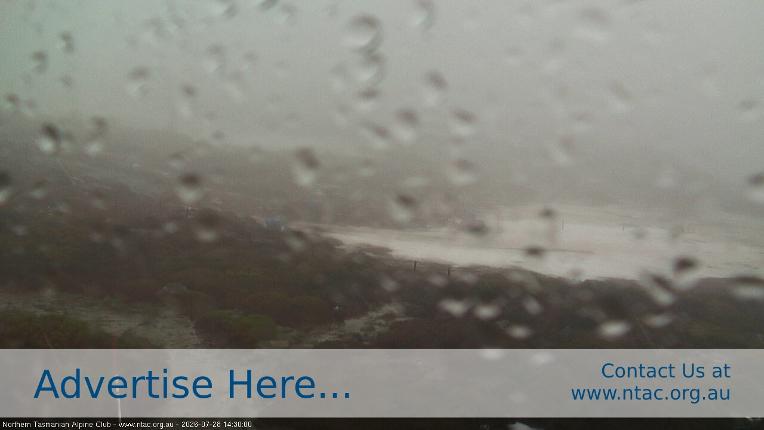 Webcam Ben Lomond: Front Slopes