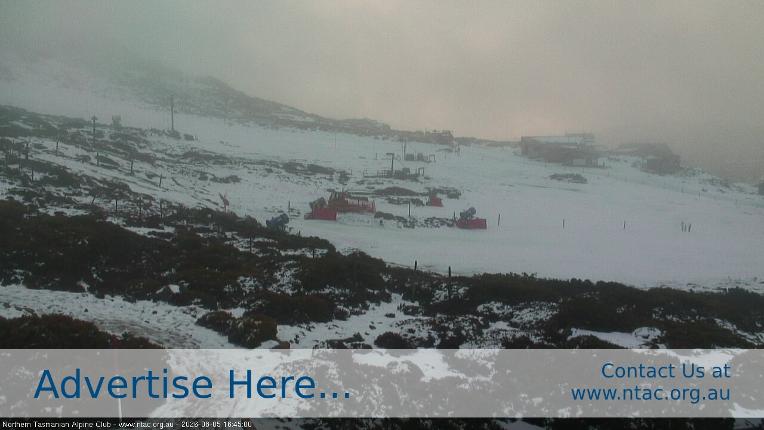 Webcam Ben Lomond: Front Slopes