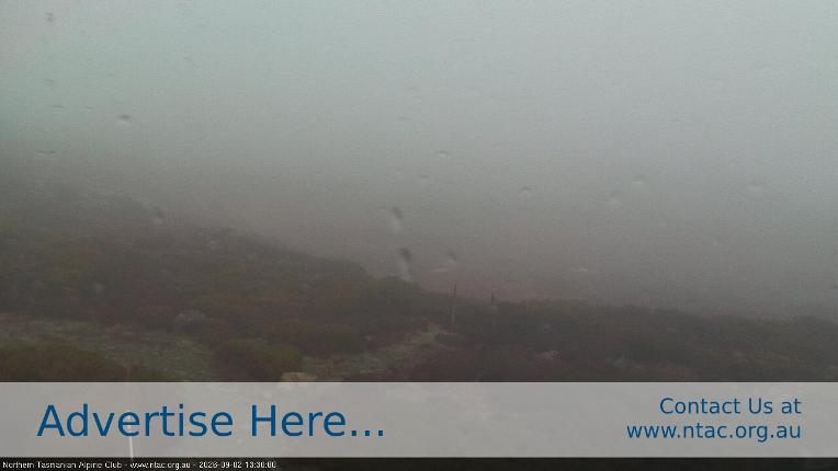 Webcam Ben Lomond: Front Slopes