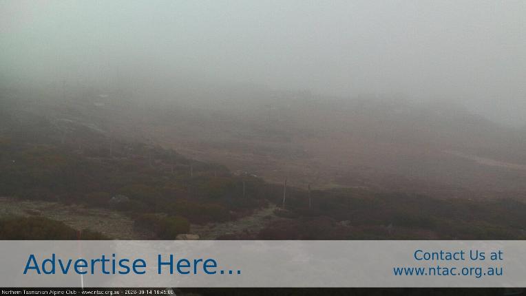Webcam Ben Lomond: Front Slopes