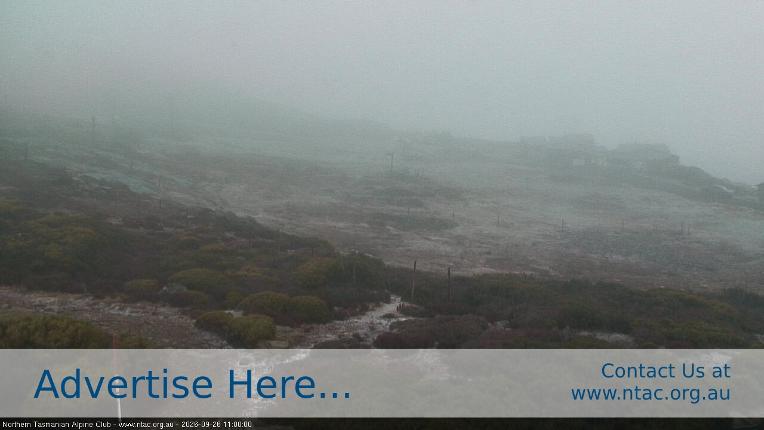 Webcam Ben Lomond: Front Slopes
