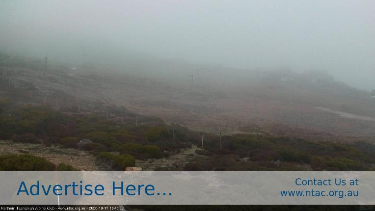 Webcam Ben Lomond: Front Slopes