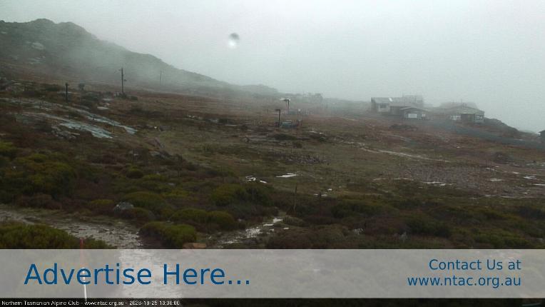 Webcam Ben Lomond: Front Slopes
