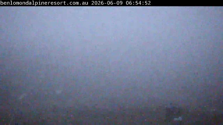 Webcam Ben Lomond: Summit 2