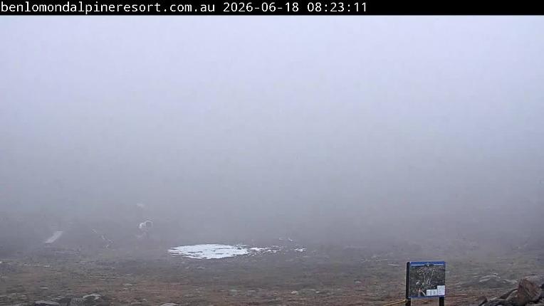 Webcam Ben Lomond: Summit 2
