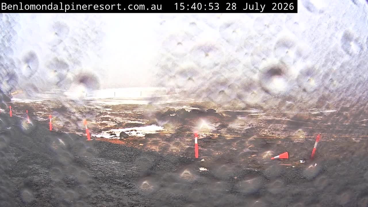 Webcam Ben Lomond:  Toboggan Village Poma