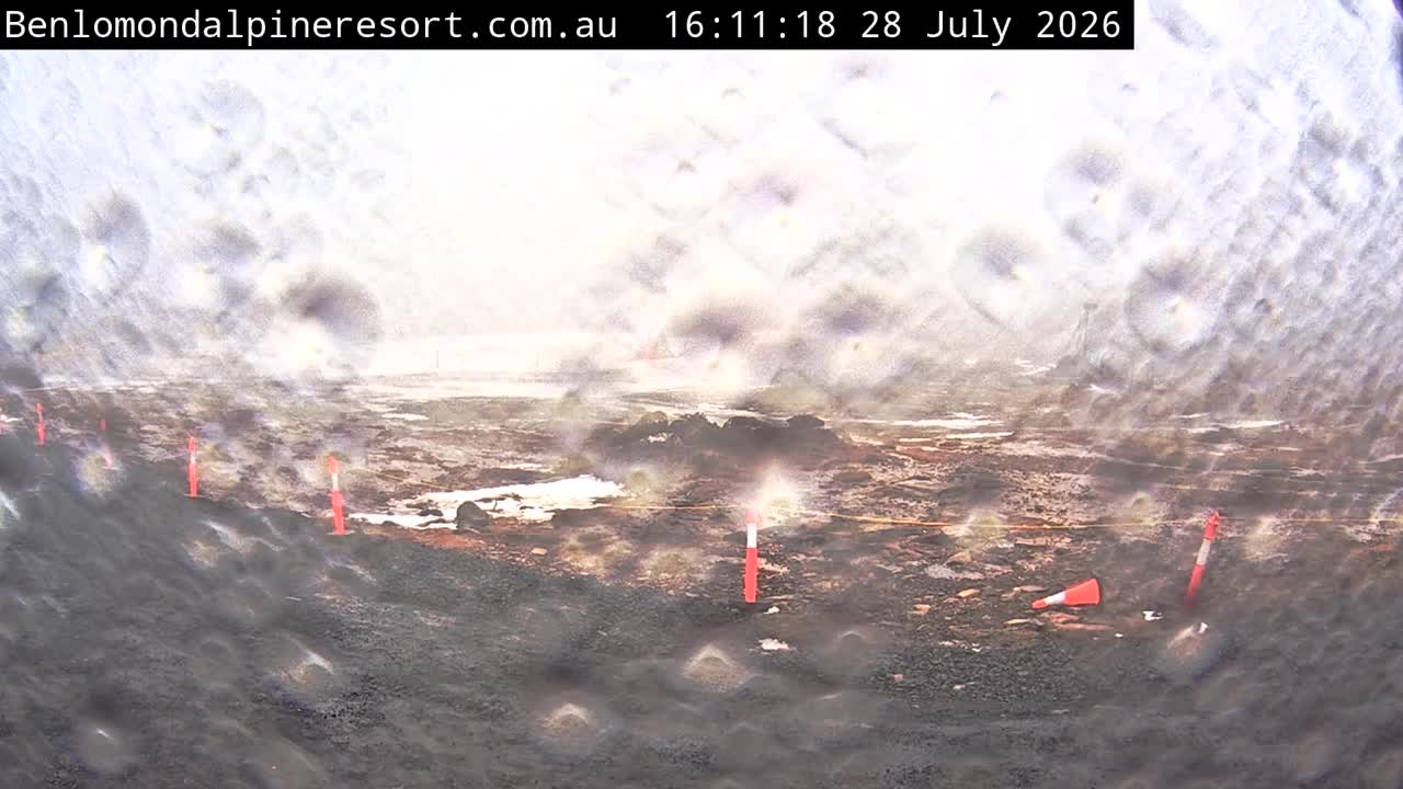 Webcam Ben Lomond:  Toboggan Village Poma