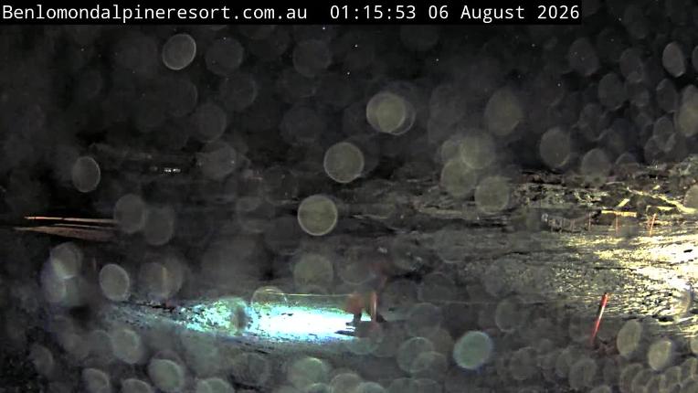 Webcam Ben Lomond:  Toboggan Village Poma