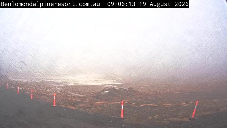 Webcam Ben Lomond:  Toboggan Village Poma