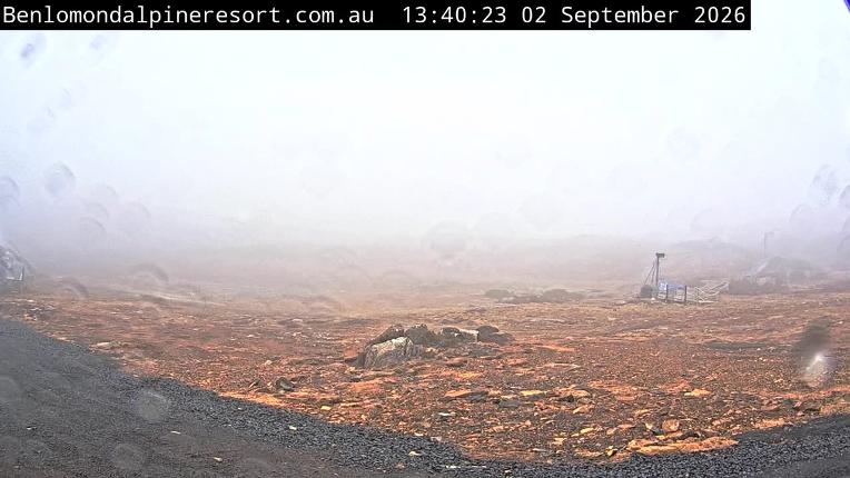 Webcam Ben Lomond:  Toboggan Village Poma