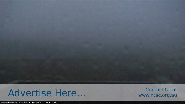 Webcam Ben Lomond: Top Slopes
