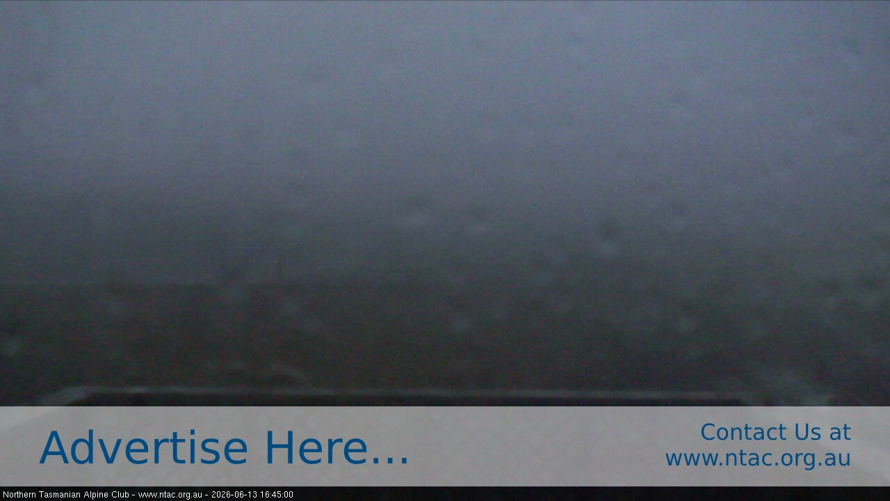 Webcam Ben Lomond: Top Slopes