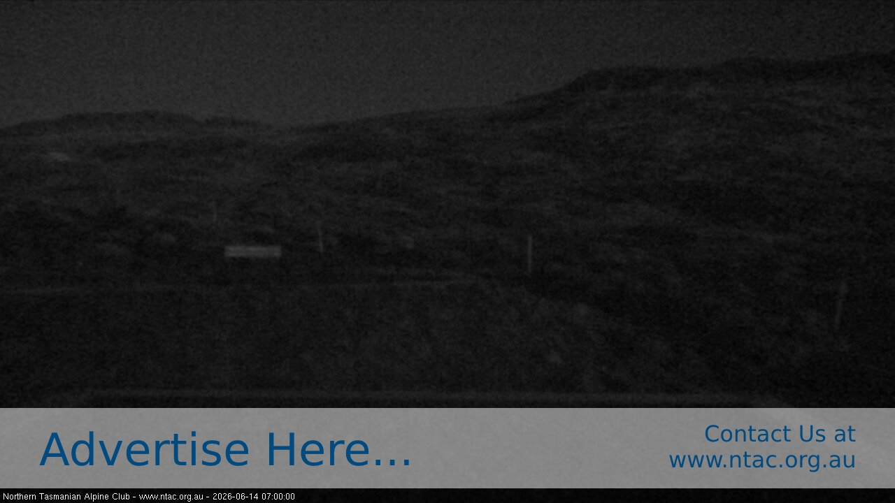 Webcam Ben Lomond: Top Slopes