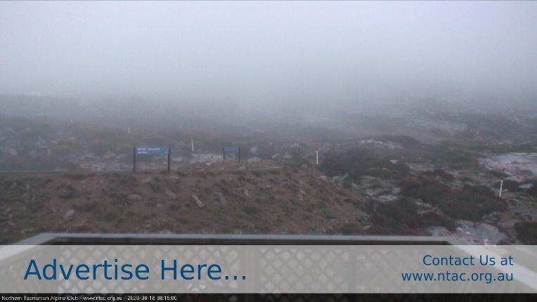 Webcam Ben Lomond: Top Slopes