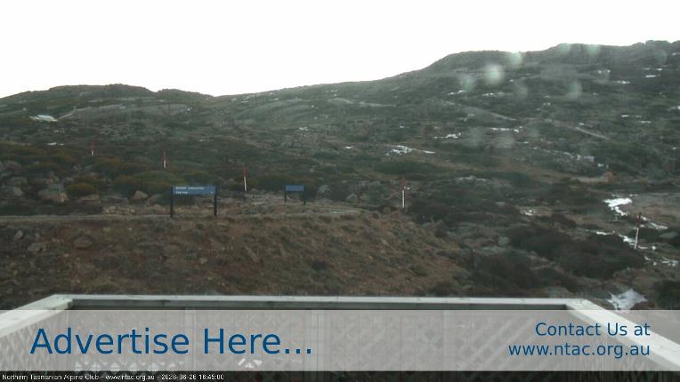 Webcam Ben Lomond: Top Slopes