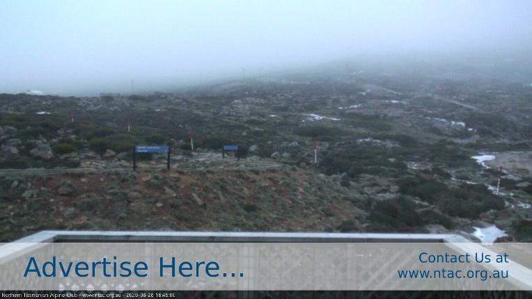 Webcam Ben Lomond: Top Slopes