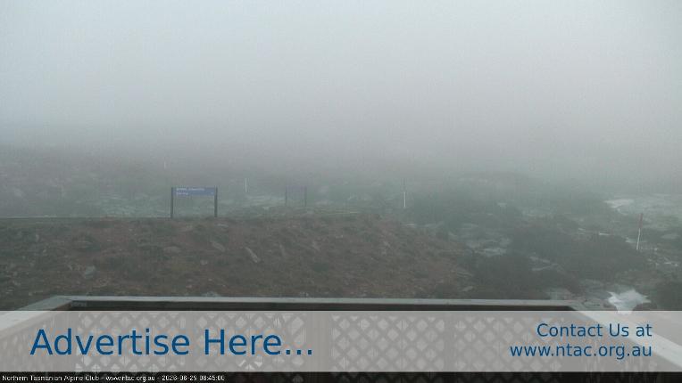 Webcam Ben Lomond: Top Slopes