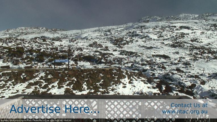 Webcam Ben Lomond: Top Slopes