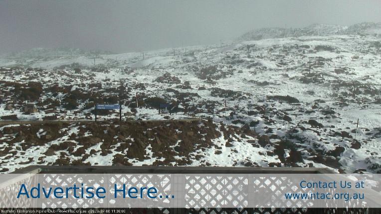 Webcam Ben Lomond: Top Slopes