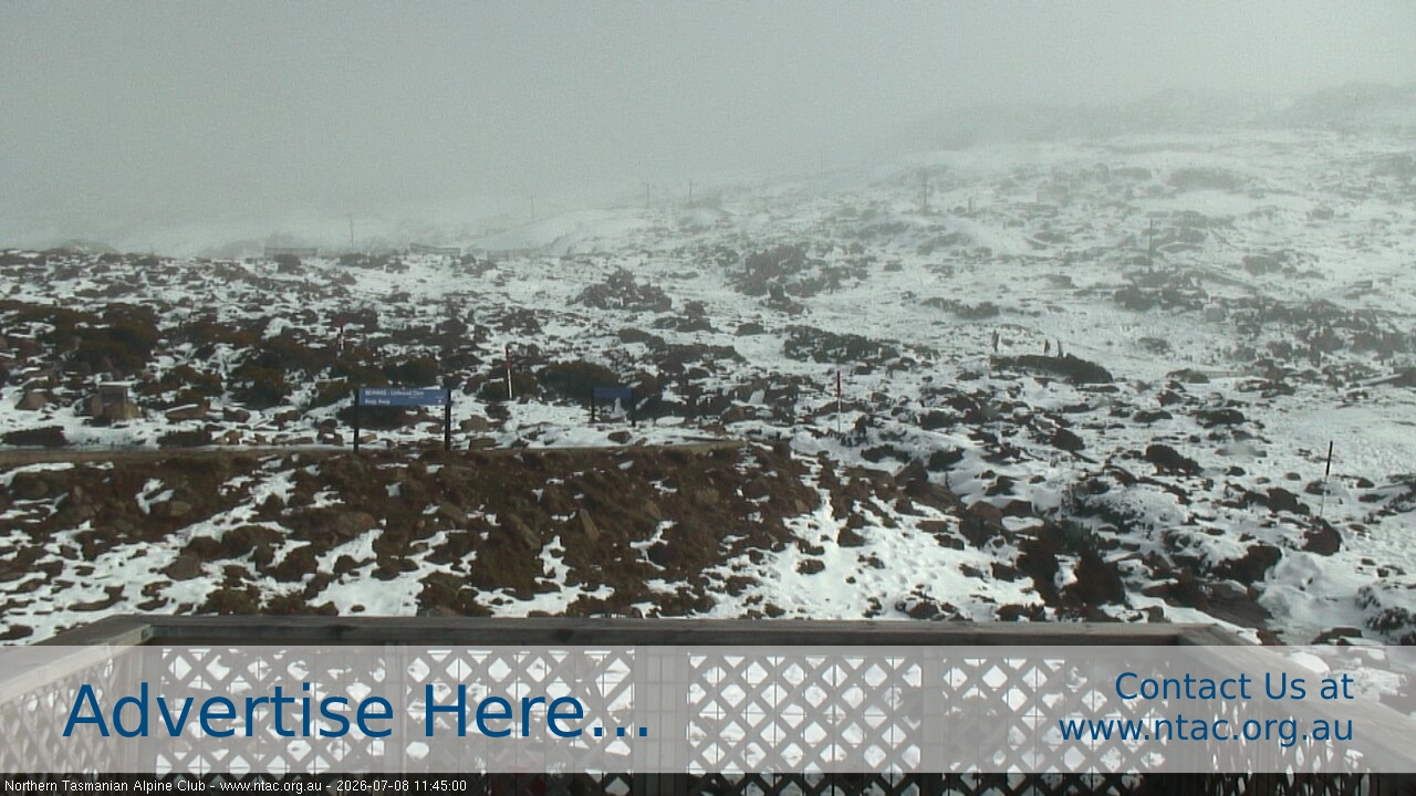 Webcam Ben Lomond: Top Slopes