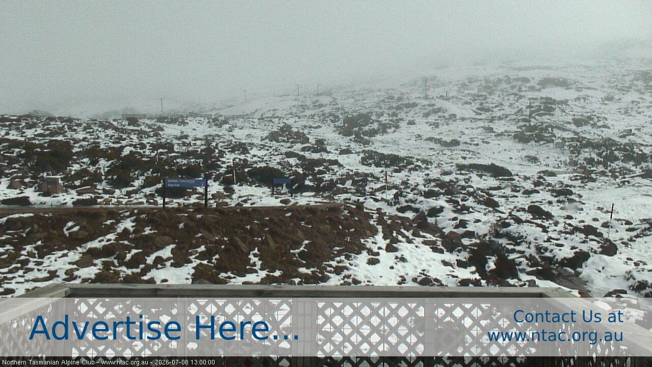 Webcam Ben Lomond: Top Slopes