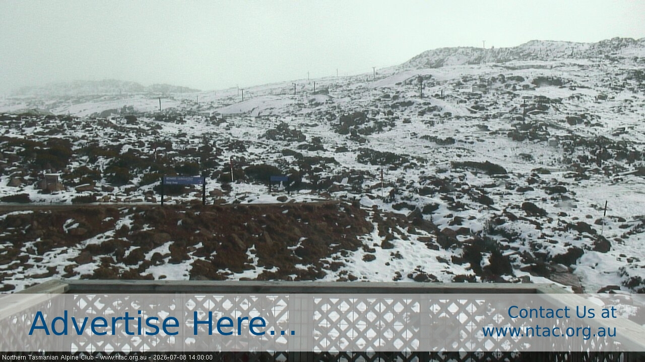 Webcam Ben Lomond: Top Slopes