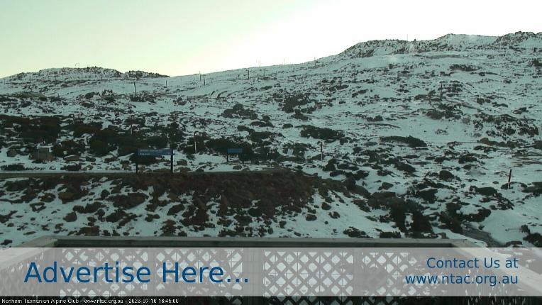 Webcam Ben Lomond: Top Slopes
