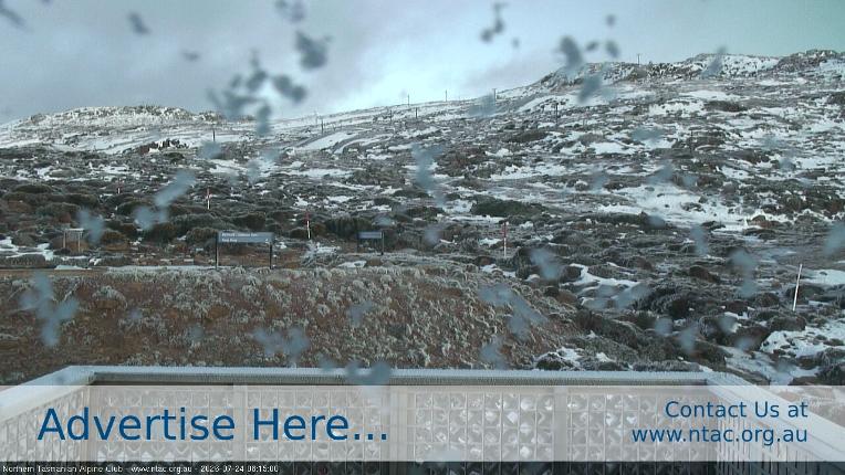 Webcam Ben Lomond: Top Slopes