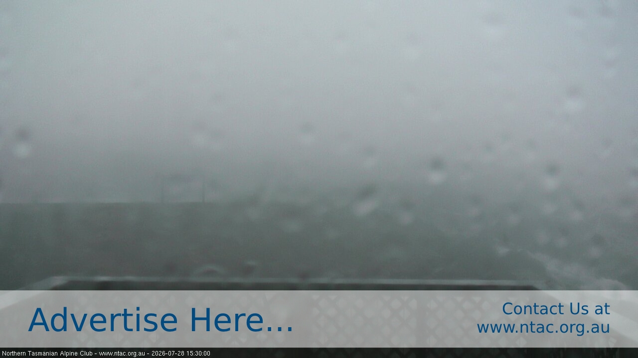 Webcam Ben Lomond: Top Slopes