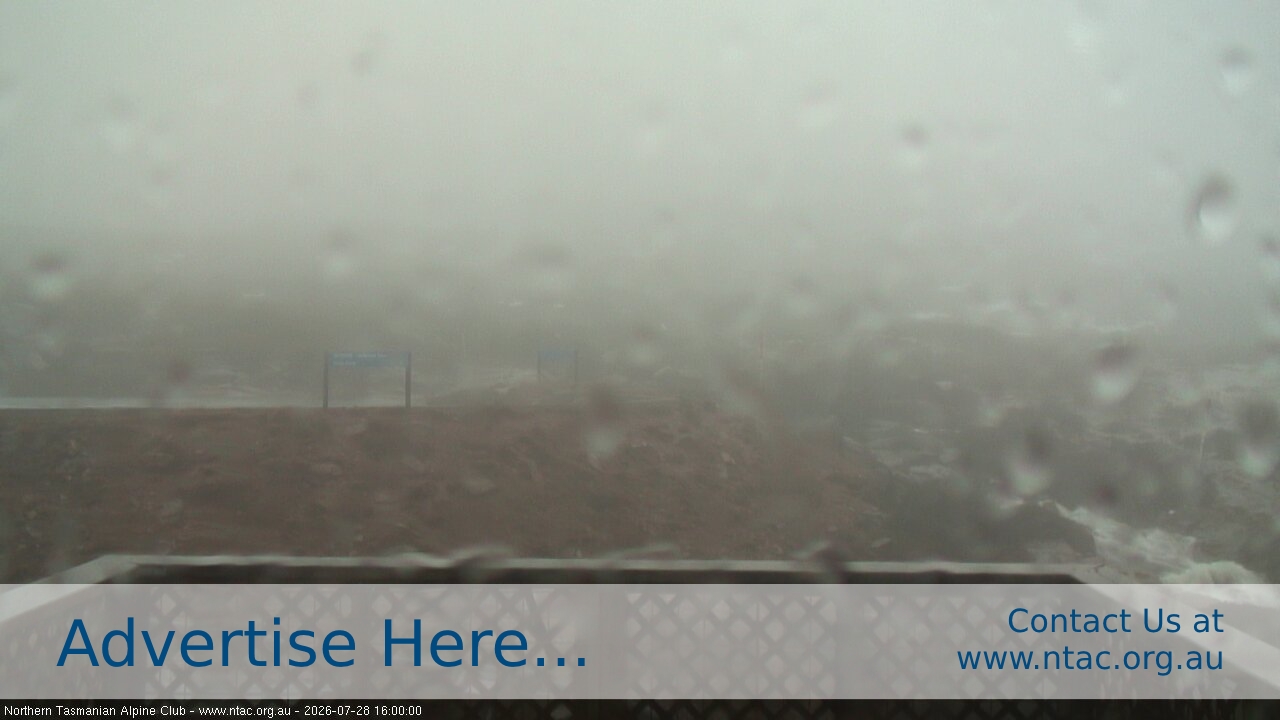 Webcam Ben Lomond: Top Slopes