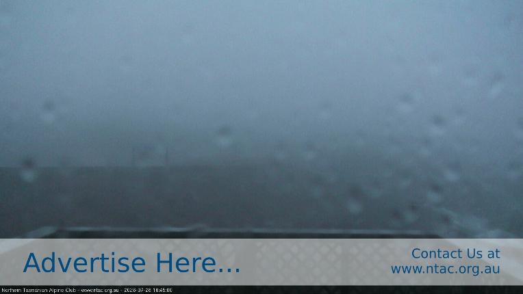 Webcam Ben Lomond: Top Slopes