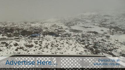 Ben Lomond: Top Slopes (ntac.org.au)