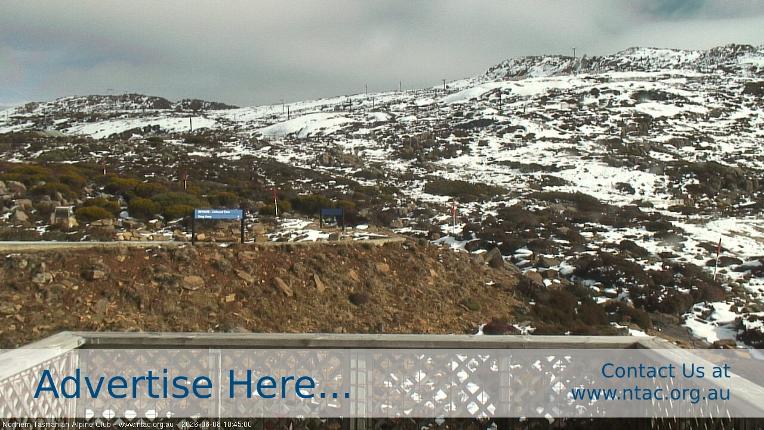Webcam Ben Lomond: Top Slopes