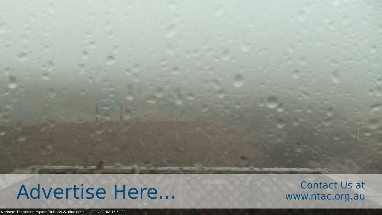 Webcam Ben Lomond: Top Slopes