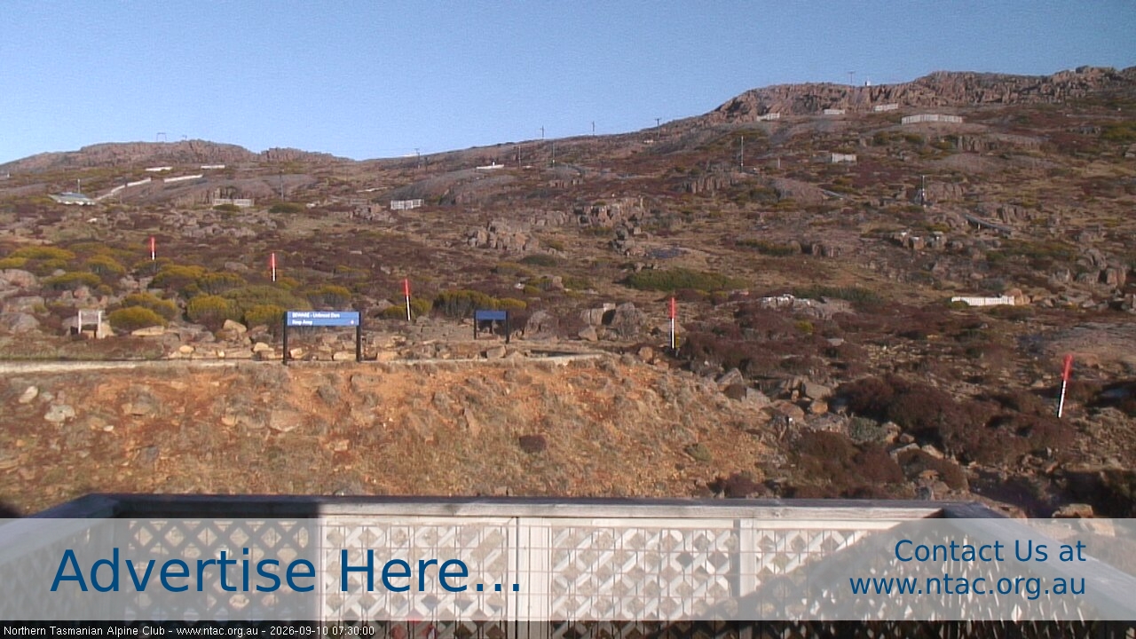 Webcam Ben Lomond: Top Slopes