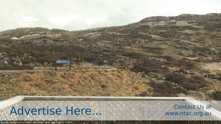 Webcam Ben Lomond: Top Slopes